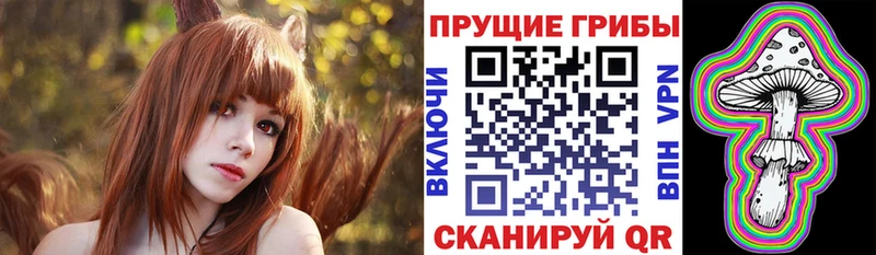 что такое наркотик  Гремячинск  Галлюциногенные грибы Psilocybine cubensis 